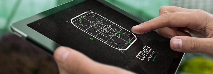 קידום אורגני