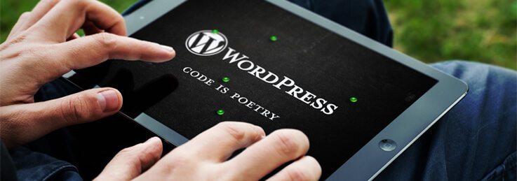 בניית אתר וורדפרס