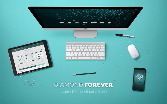 חוויית משתמש UX UI