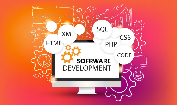 פיתוח תוכנה