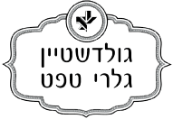 בניית אתרים לשרית גולדשטיין