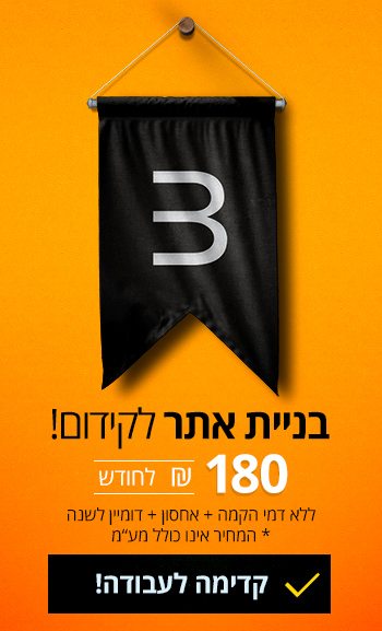 בניית אתר מיוחד לקידום אורגני